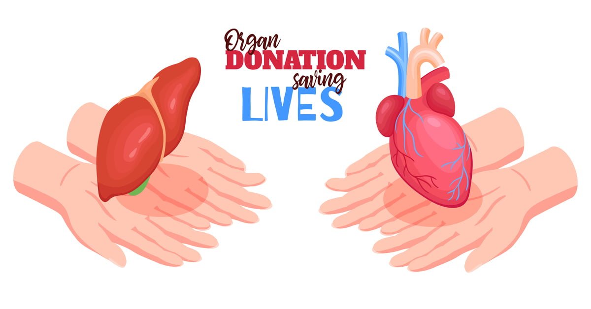 organ donation