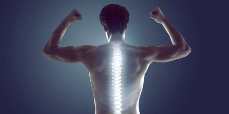 spine treatment