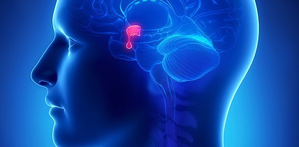 Endoscopic Brain Surgery