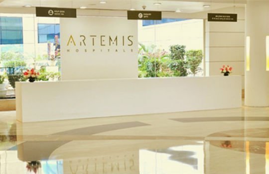 artemis_reception_1
