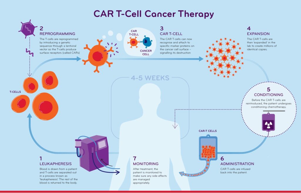 How Does CAR T-Cell Therapy Work in Treating Cancer