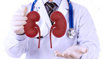 Kidney-Transplant