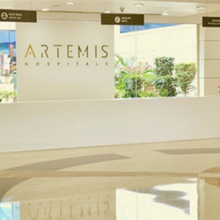 artemis_reception_1